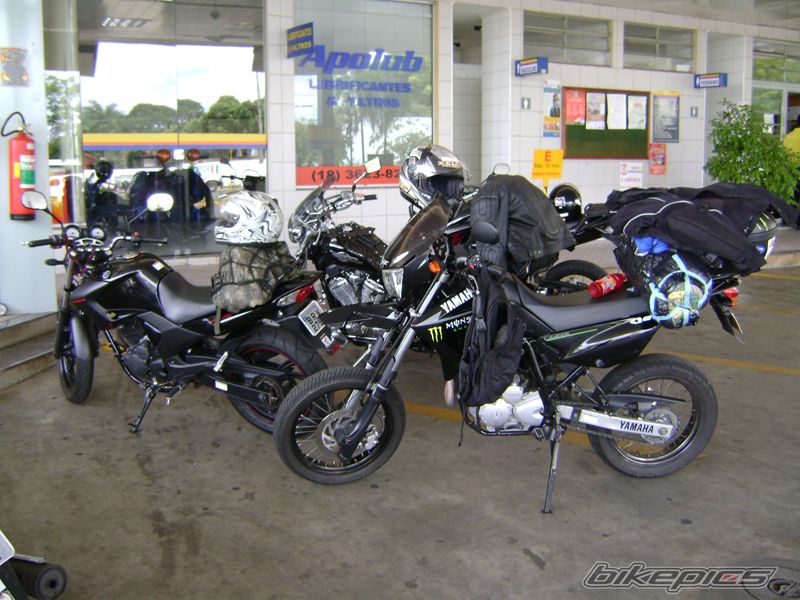 2008 YAMAHA YS 250 FAZER | Picture 1787634 motorcycle photo