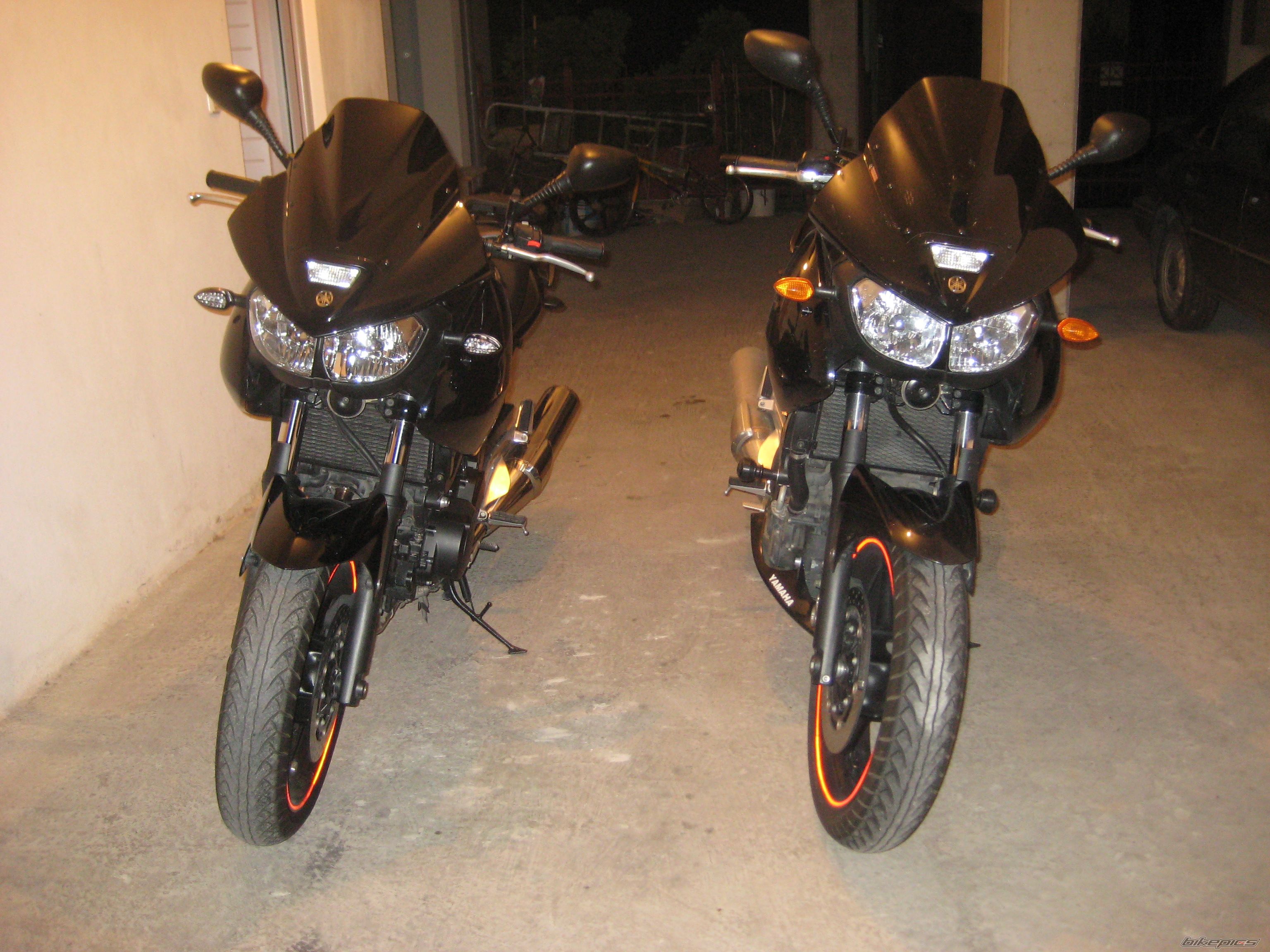 2009 YAMAHA TDM 900 | Picture 1787639 motorcycle photo