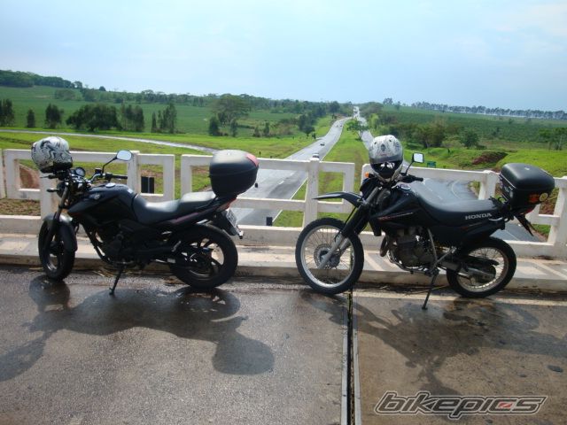 2008 YAMAHA YS 250 FAZER | Picture 1787647 motorcycle photo