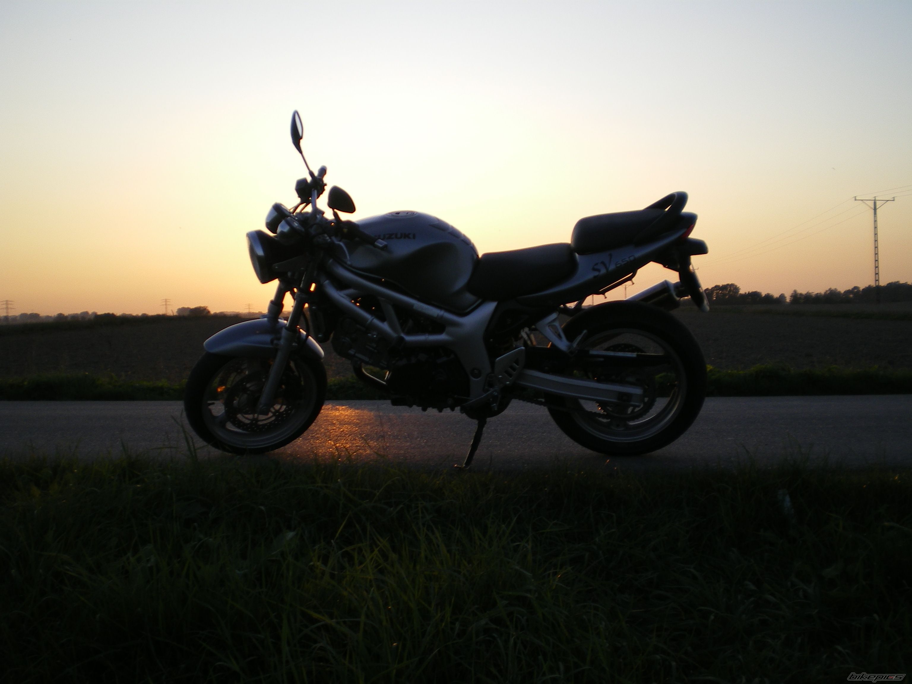 2002 SUZUKI SV 650 | Picture 1788175 motorcycle photo