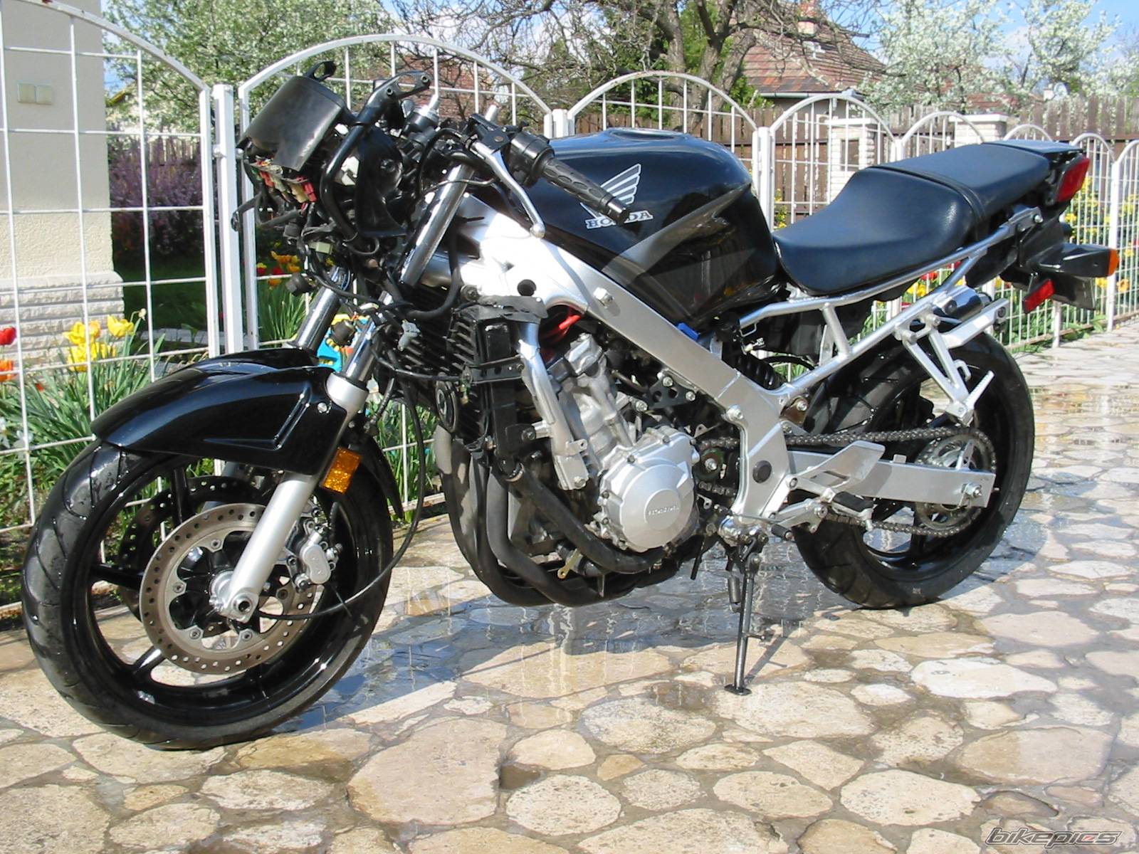 1994 HONDA CBR 600 | Picture 178877 motorcycle photo