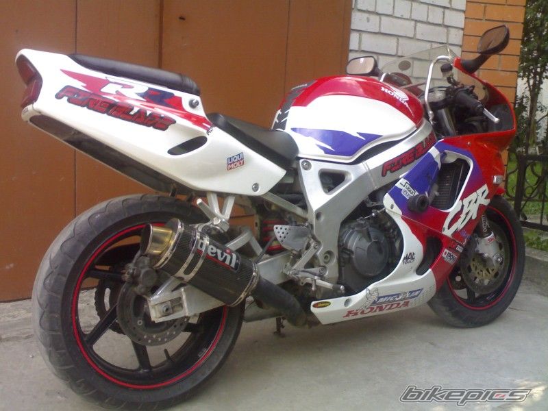 1995 HONDA CBR 900 | Picture 1788823 motorcycle photo