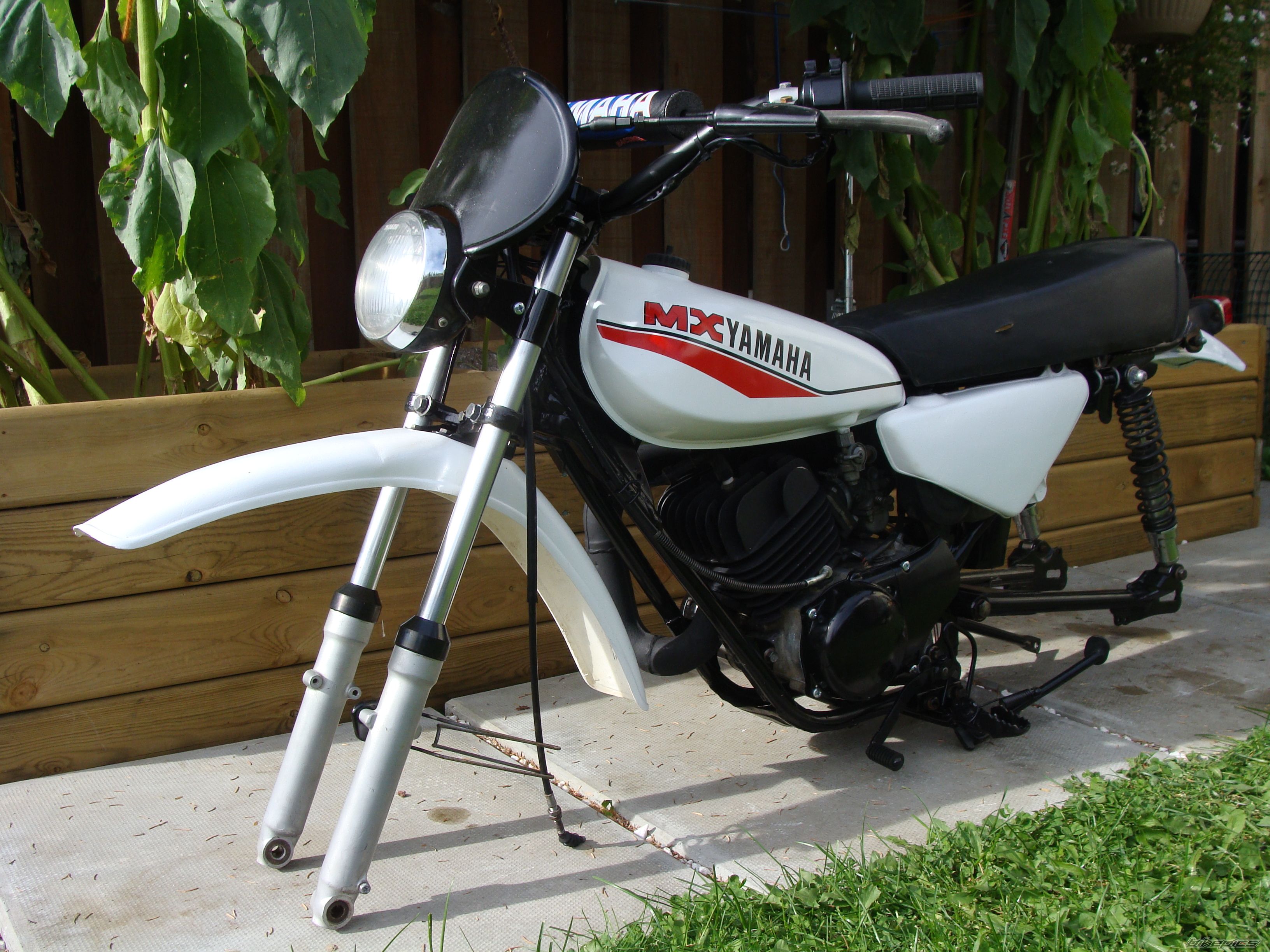 1981 YAMAHA MX 100 | Picture 1789277 motorcycle photo