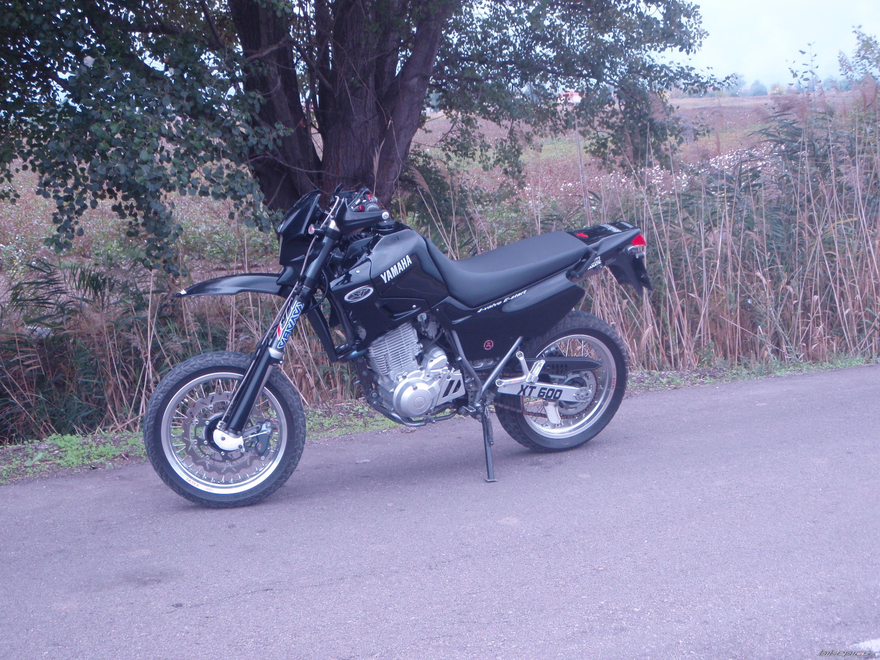 2003 YAMAHA XT 600 | Picture 1789764 motorcycle photo