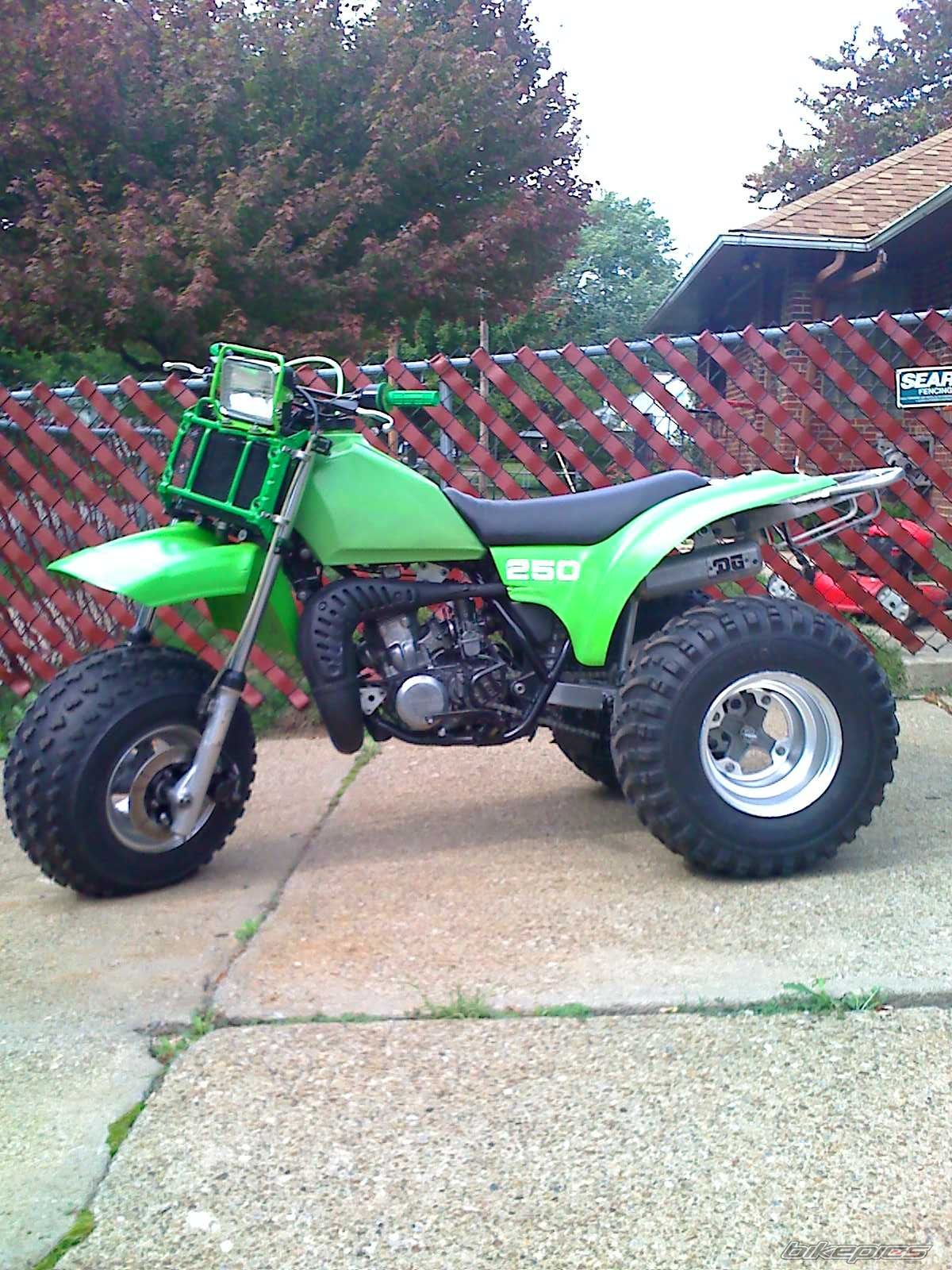 1985 KAWASAKI TECATE 3 | Picture 1789856 motorcycle photo