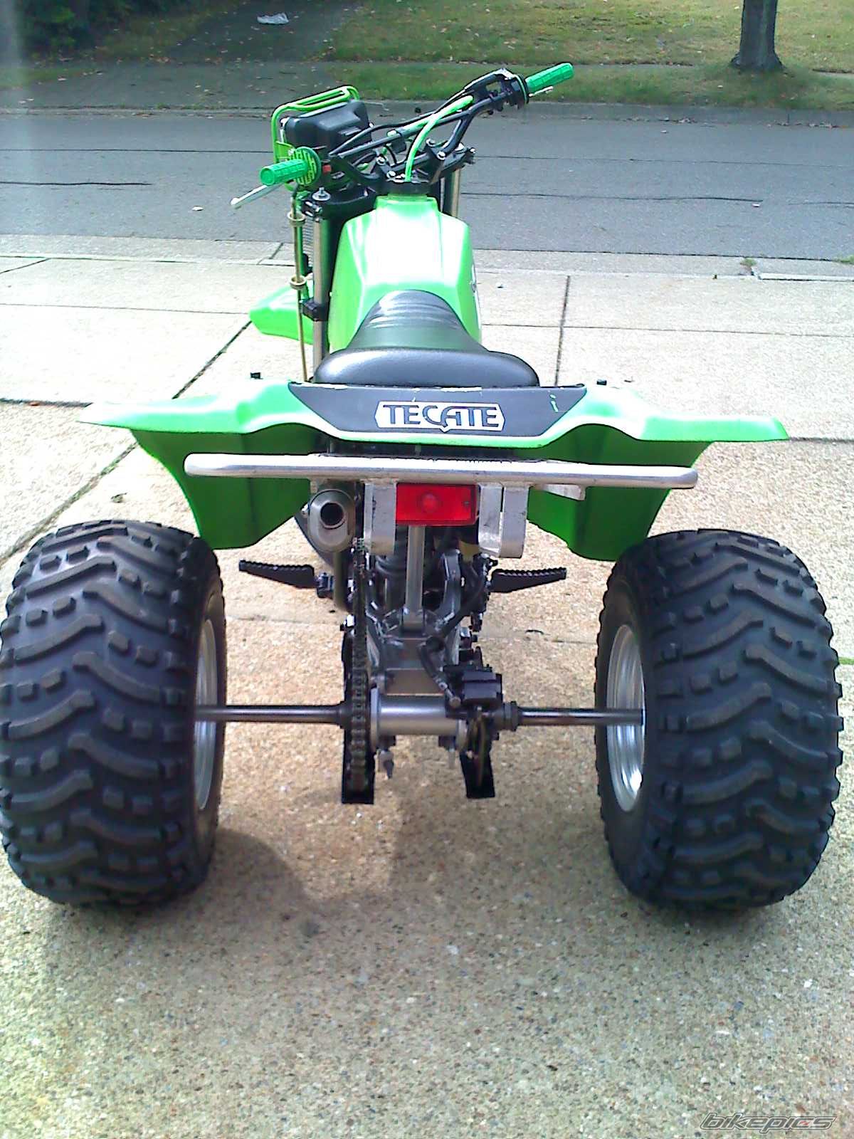 1985 KAWASAKI TECATE 3 | Picture 1789857 motorcycle photo