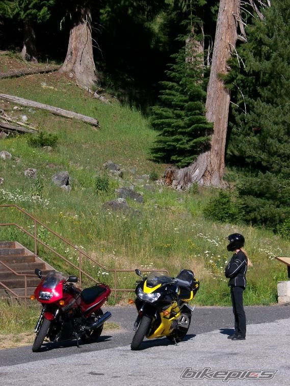 2001 HONDA CBR 900 | Picture 1789984 motorcycle photo