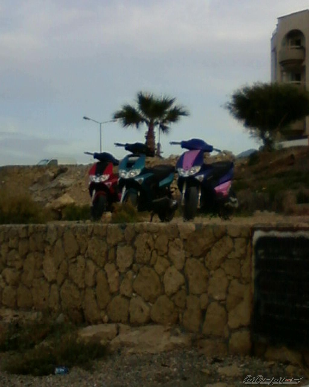 2008 GILERA RUNNER 50 | Picture 1790478 motorcycle photo