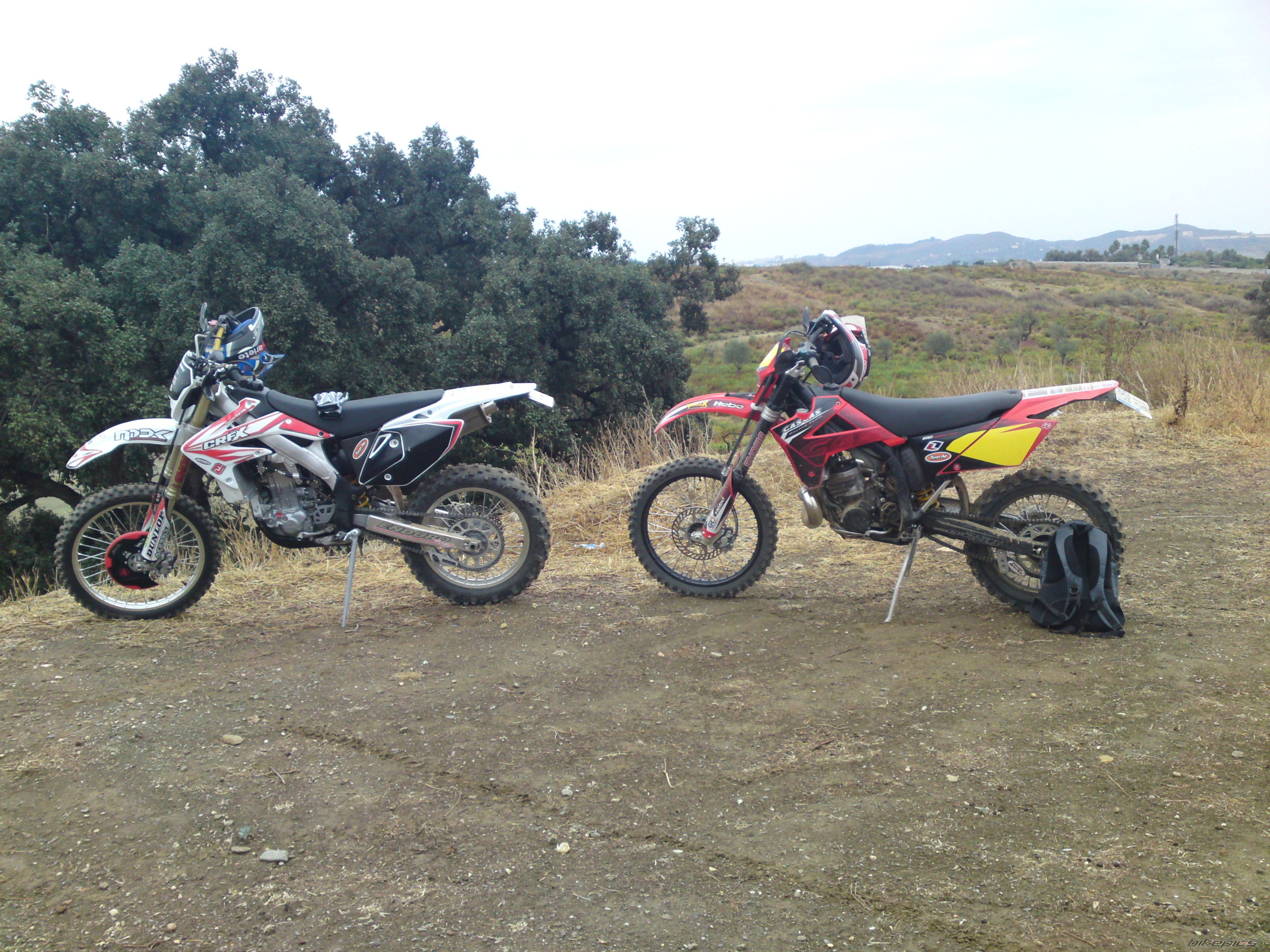 2008 HONDA CRF 450 | Picture 1790820 motorcycle photo