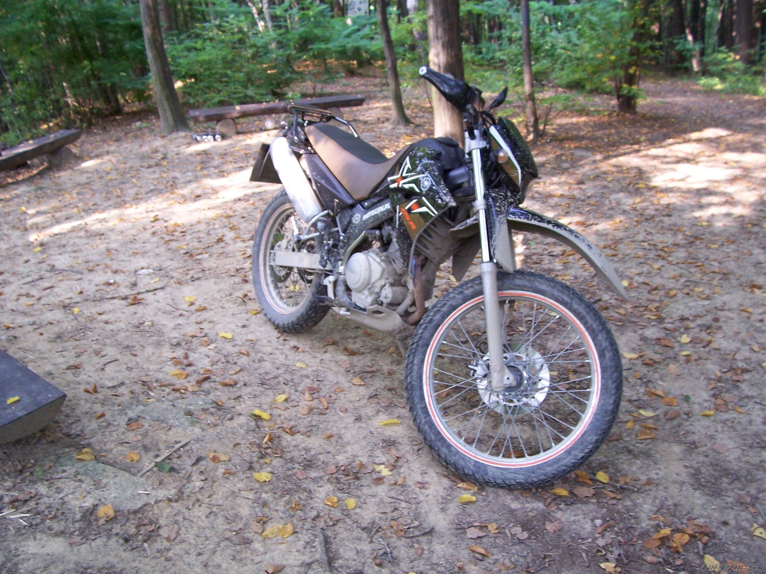 2007 YAMAHA XT 125 | Picture 1792088 motorcycle photo