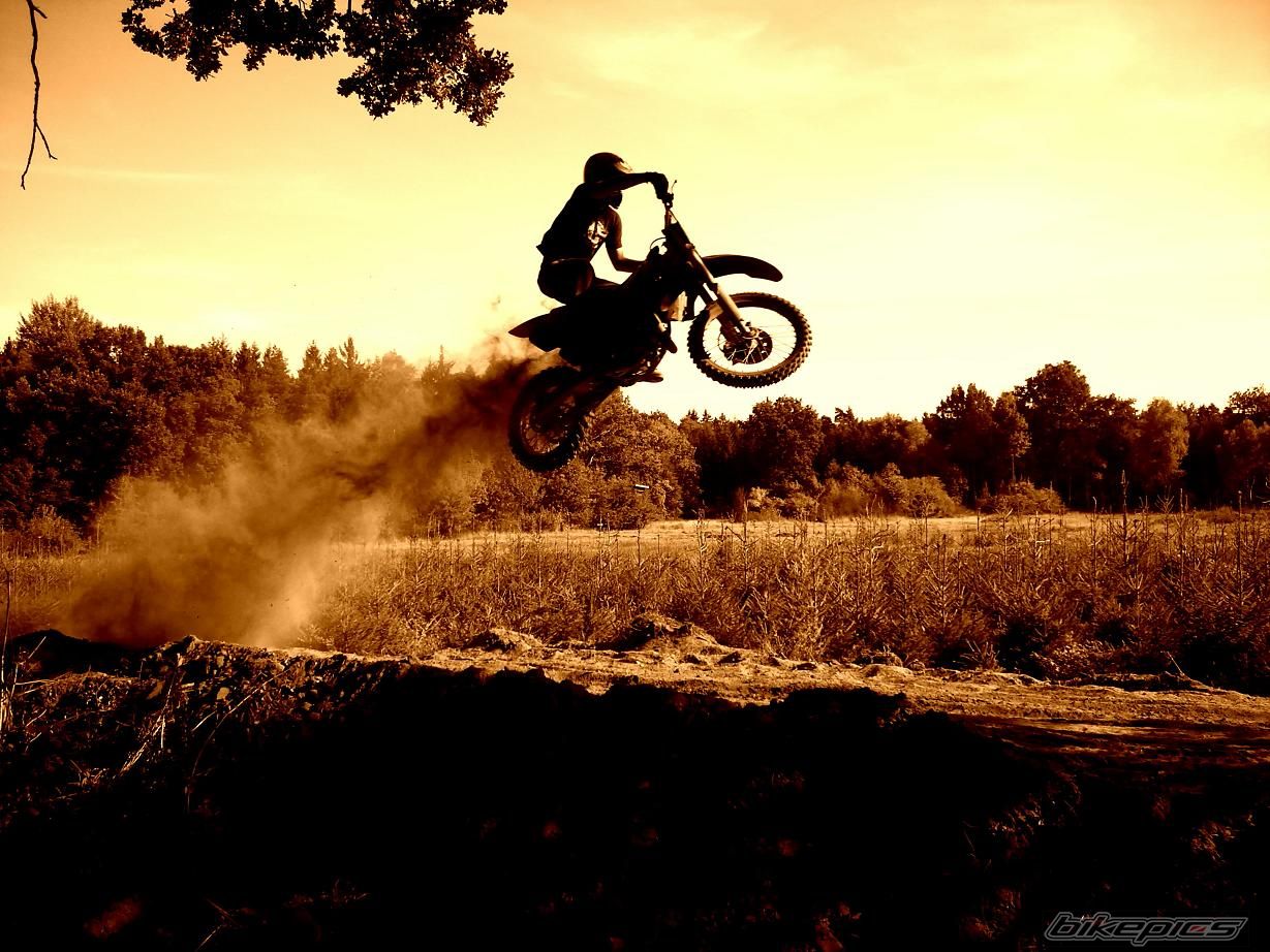 2008 SUZUKI RM 250 | Picture 1792486 motorcycle photo