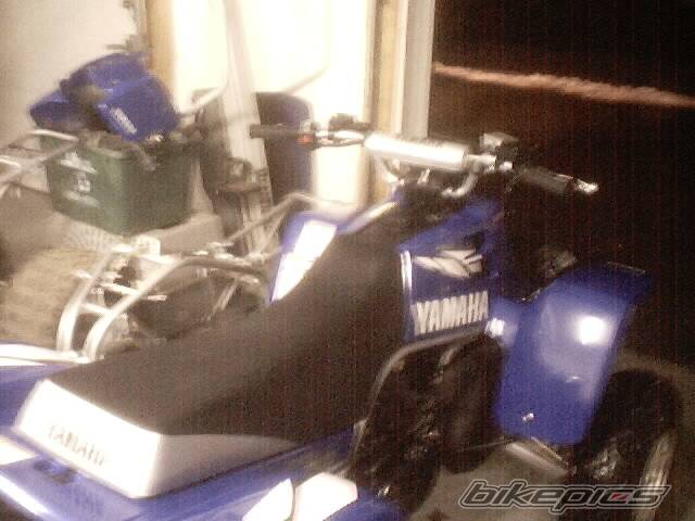 2002 YAMAHA BANSHEE | Picture 17928 motorcycle photo