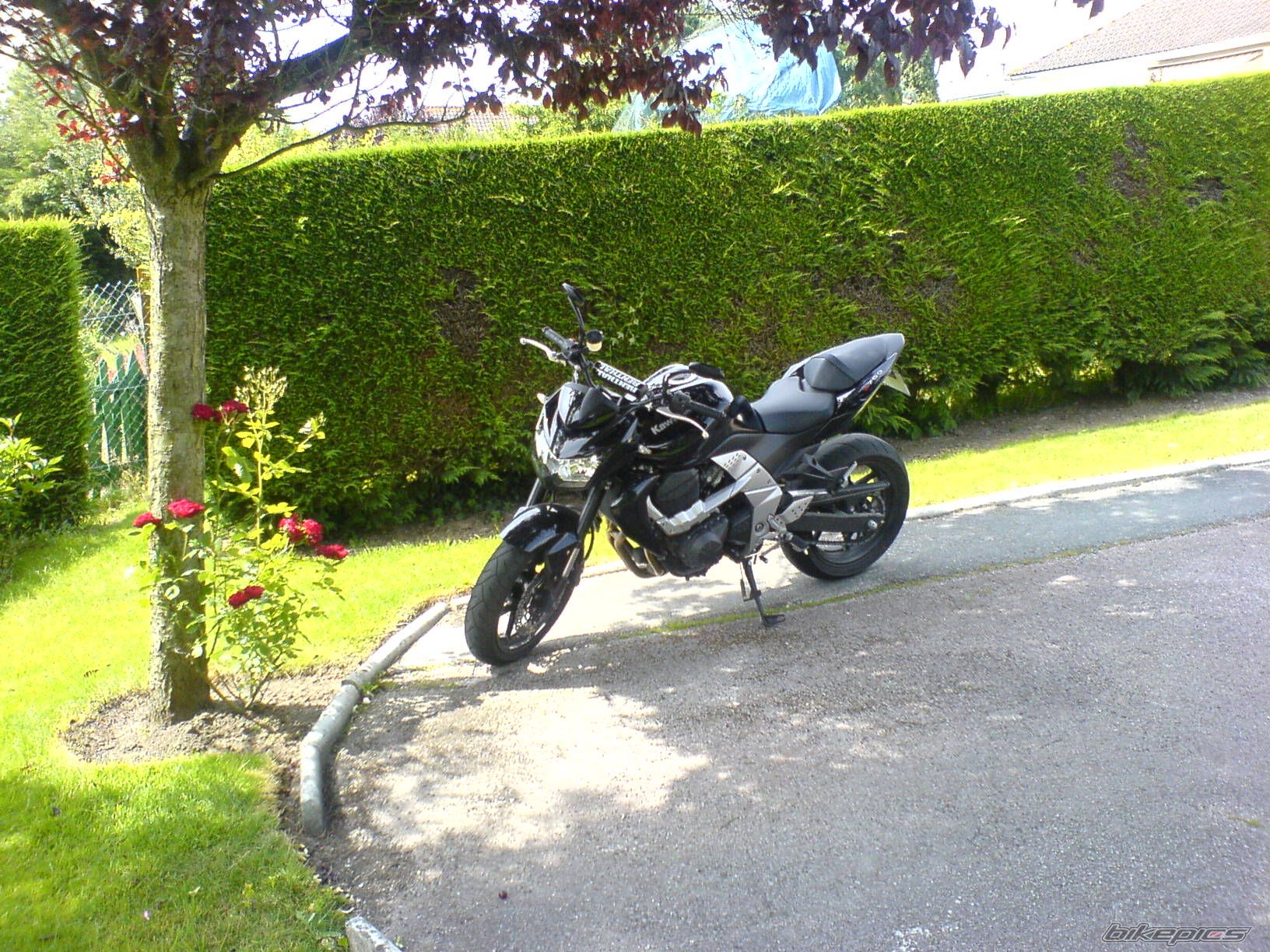 2009 KAWASAKI Z 750 | Picture 1793021 motorcycle photo