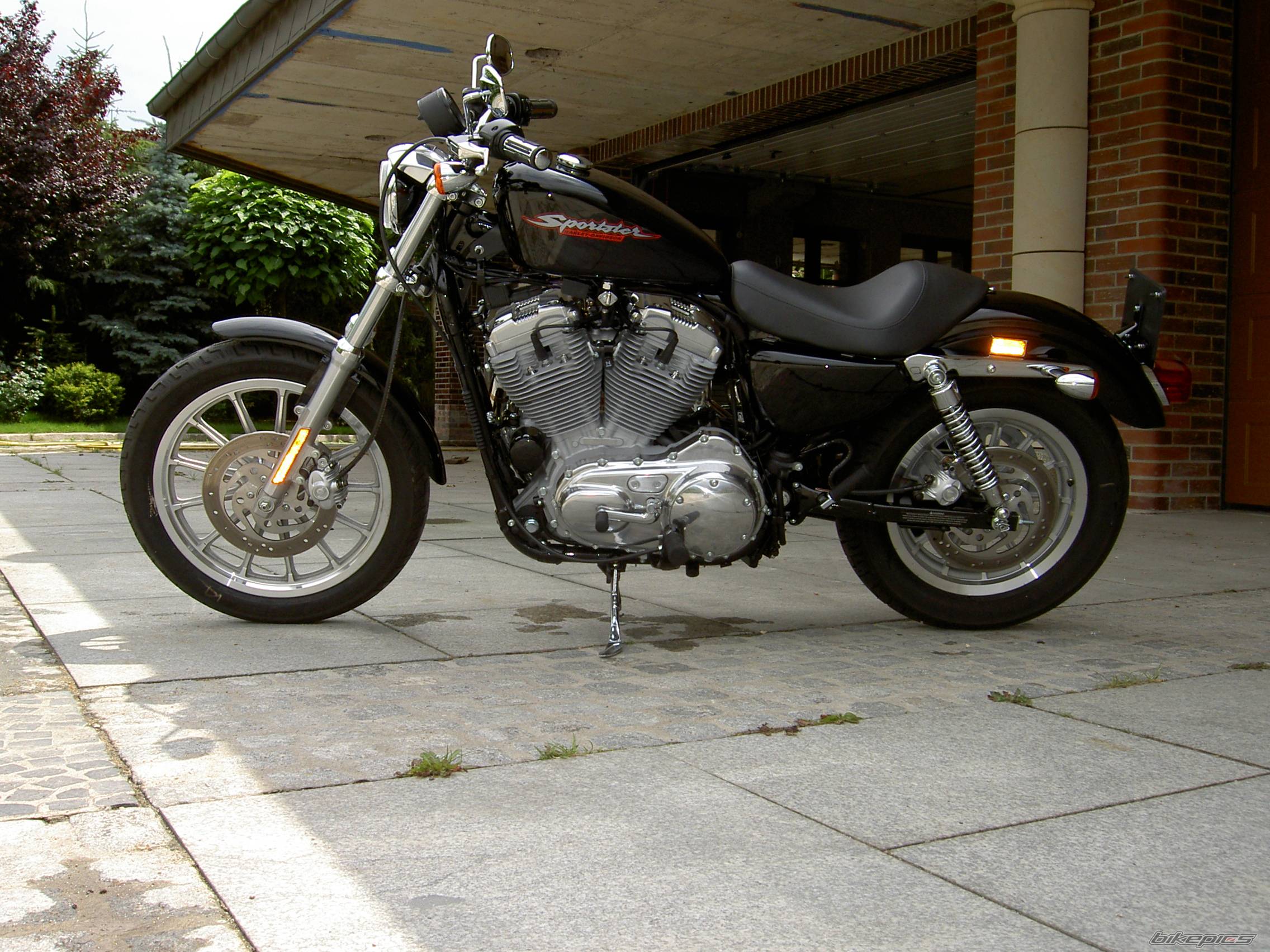 2004 HARLEY DAVIDSON XL 883C | Picture 179321 motorcycle photo