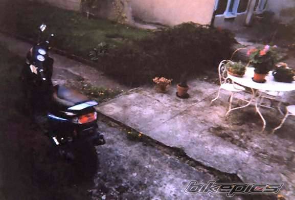1998 PEUGEOT BUXY | Picture 179325 motorcycle photo