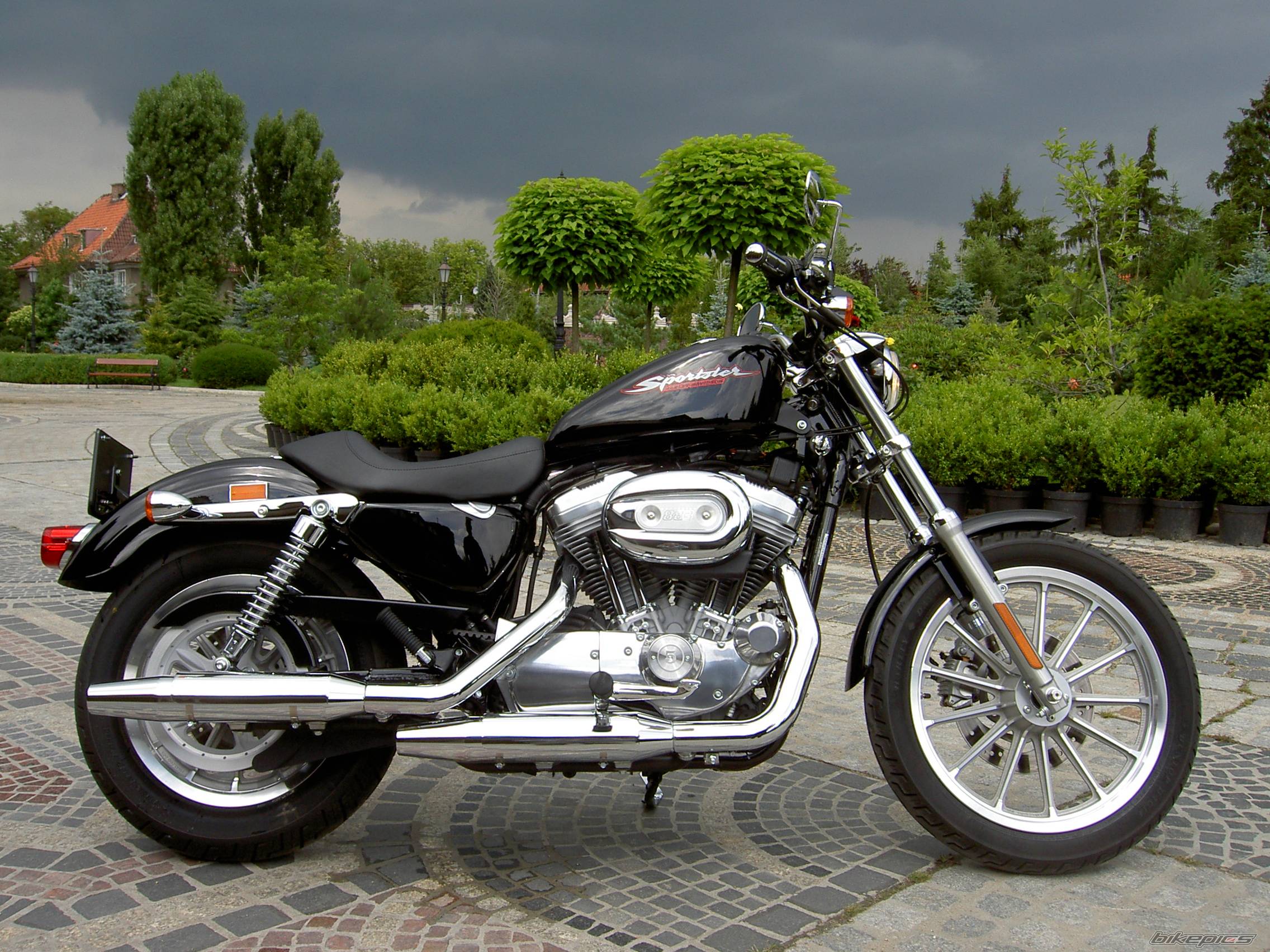 2004 HARLEY DAVIDSON XL 883C | Picture 179338 motorcycle photo