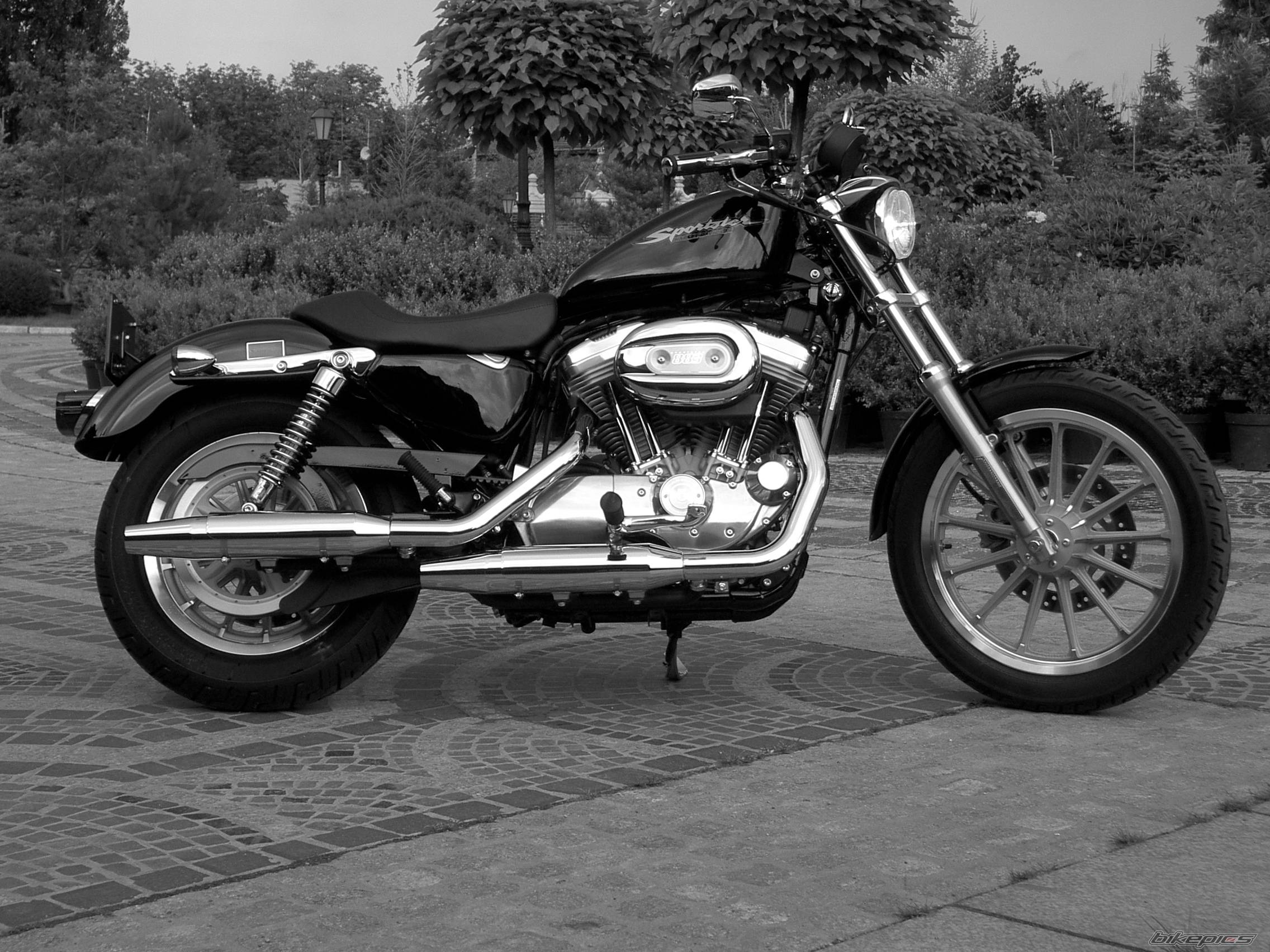 2004 HARLEY DAVIDSON XL 883C | Picture 179345 motorcycle photo