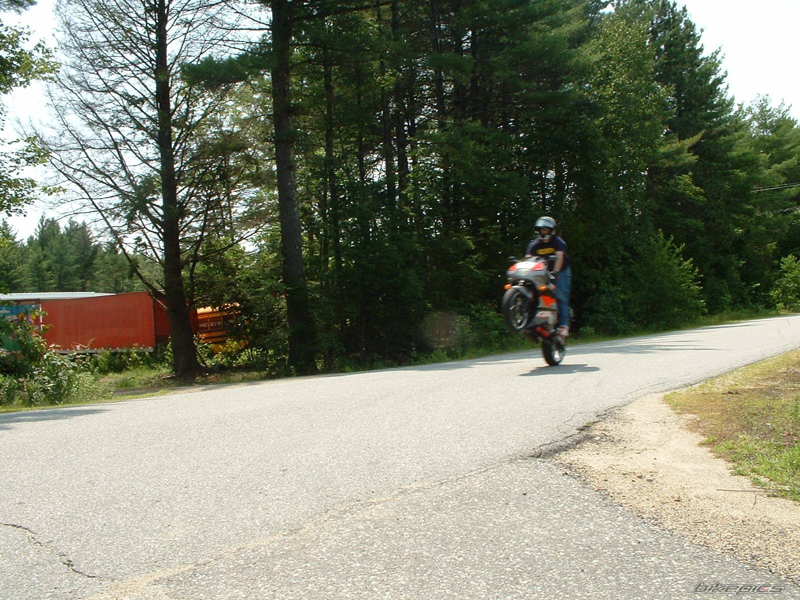 1993 HONDA CBR 600 | Picture 179385 motorcycle photo