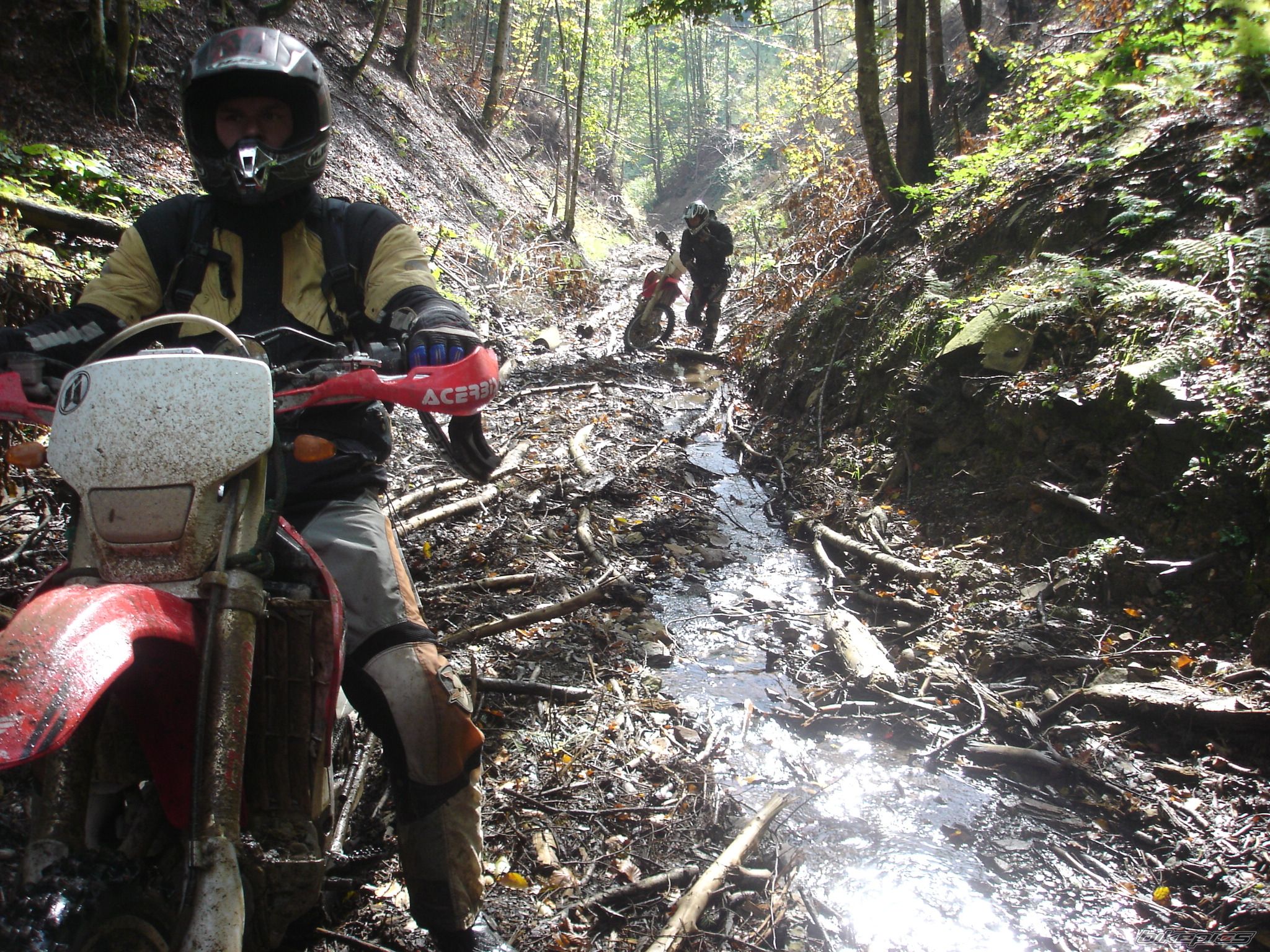 2005 HONDA CRF450X | Picture 1794040 motorcycle photo