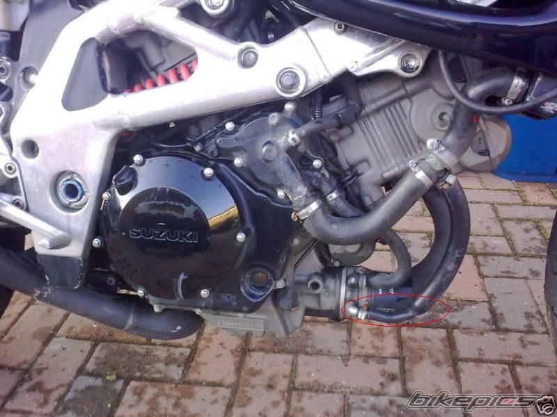 1997 SUZUKI TL1000S | Picture 1794056 motorcycle photo
