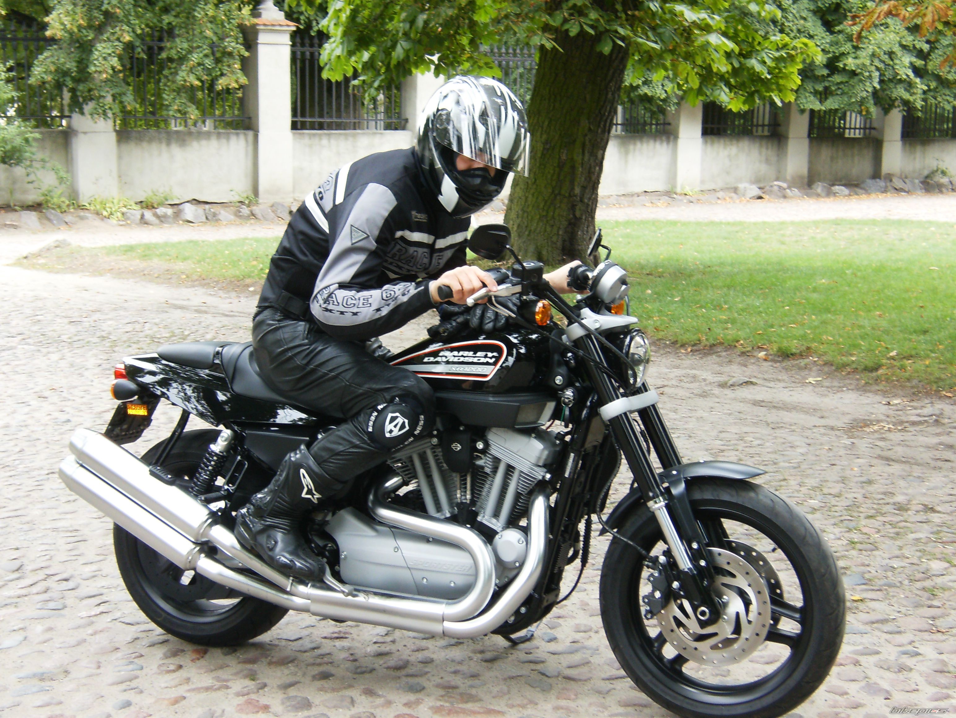 2008 HARLEY DAVIDSON XR 1000 | Picture 1794105 motorcycle photo