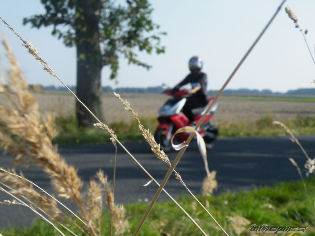 2006 TGB RACING 50 XTREME | Picture 1795456 motorcycle photo