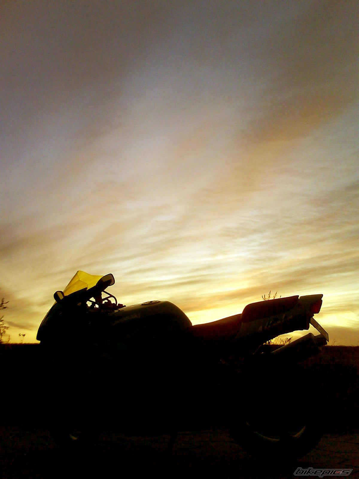 1999 KAWASAKI ZX 6R | Picture 1796081 motorcycle photo