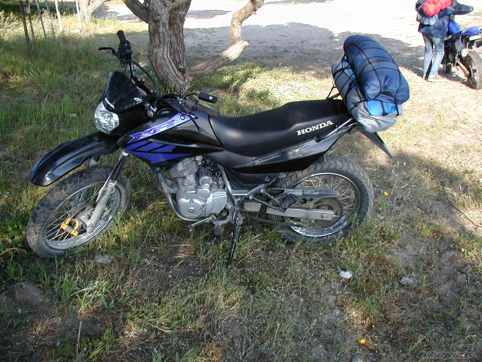 2003 HONDA XR 125 | Picture 179613 motorcycle photo