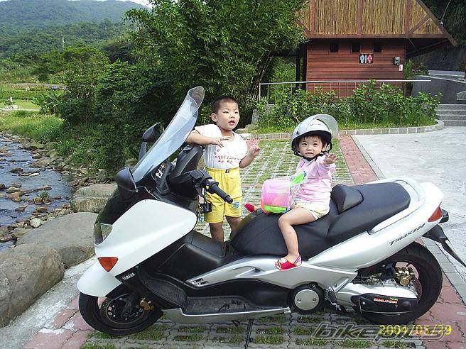 2003 YAMAHA TMAX 500 | Picture 179666 motorcycle photo