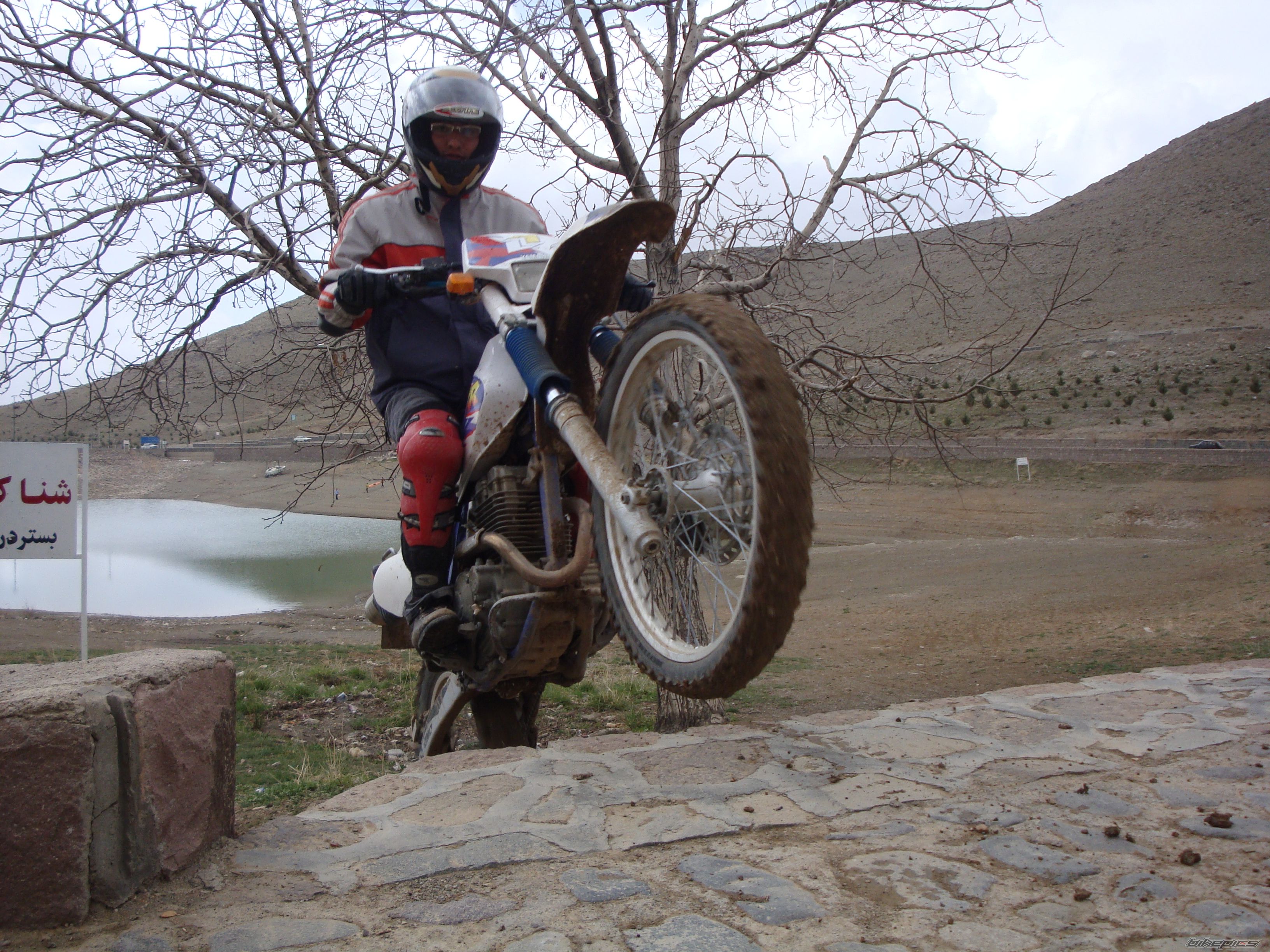 1996 YAMAHA TTR 250 | Picture 1797190 motorcycle photo