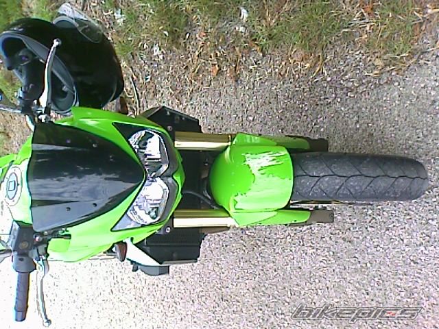 2003 KAWASAKI Z 1000 | Picture 1797808 motorcycle photo