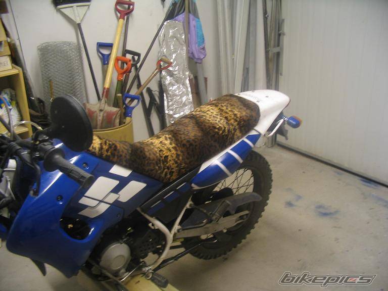 1999 YAMAHA DT 50 | Picture 179809 motorcycle photo