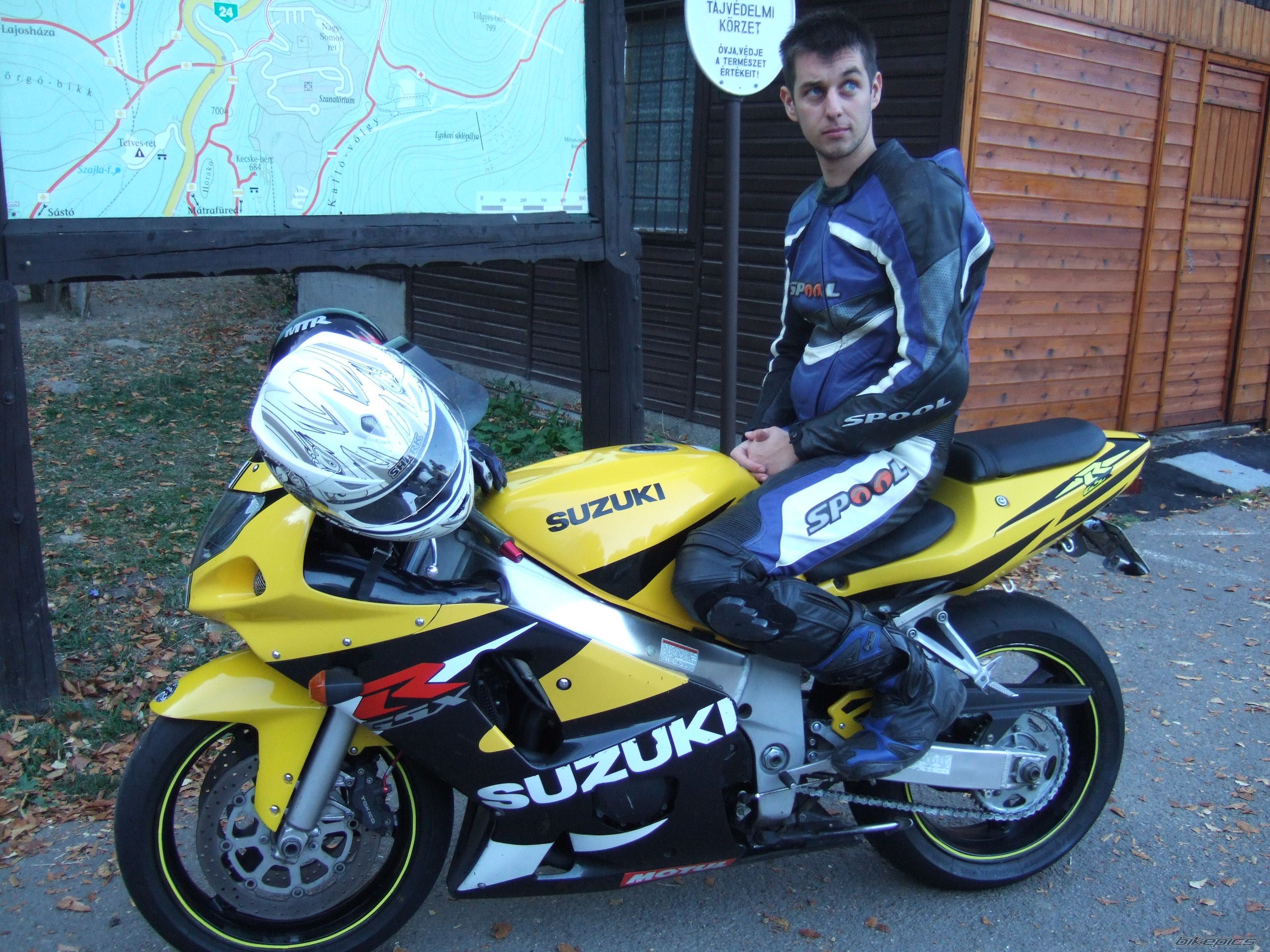 2002 SUZUKI GSX R 600 | Picture 1798646 motorcycle photo