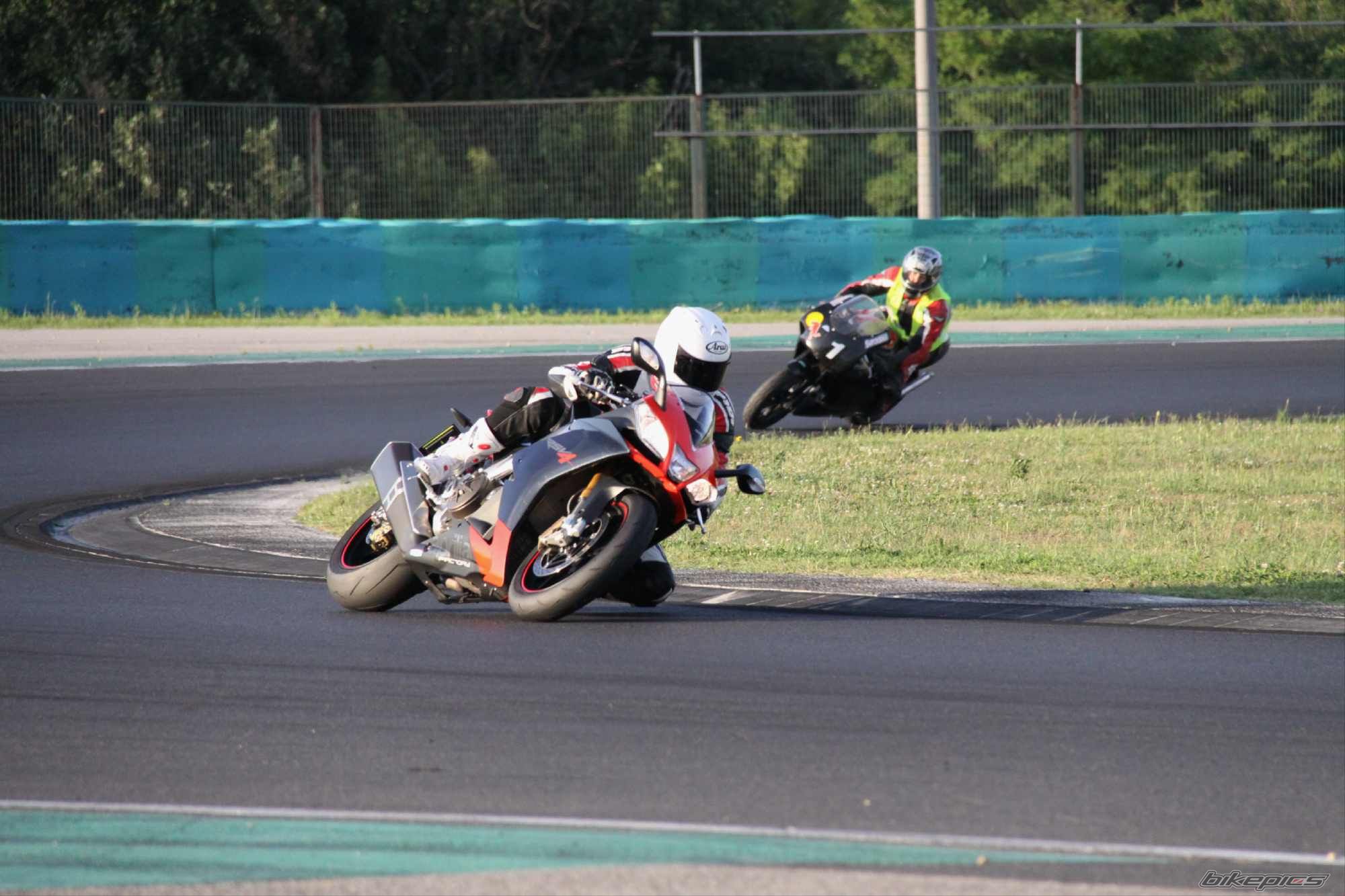 2009 APRILIA RSV 1000R MILLE | Picture 1798843 motorcycle photo