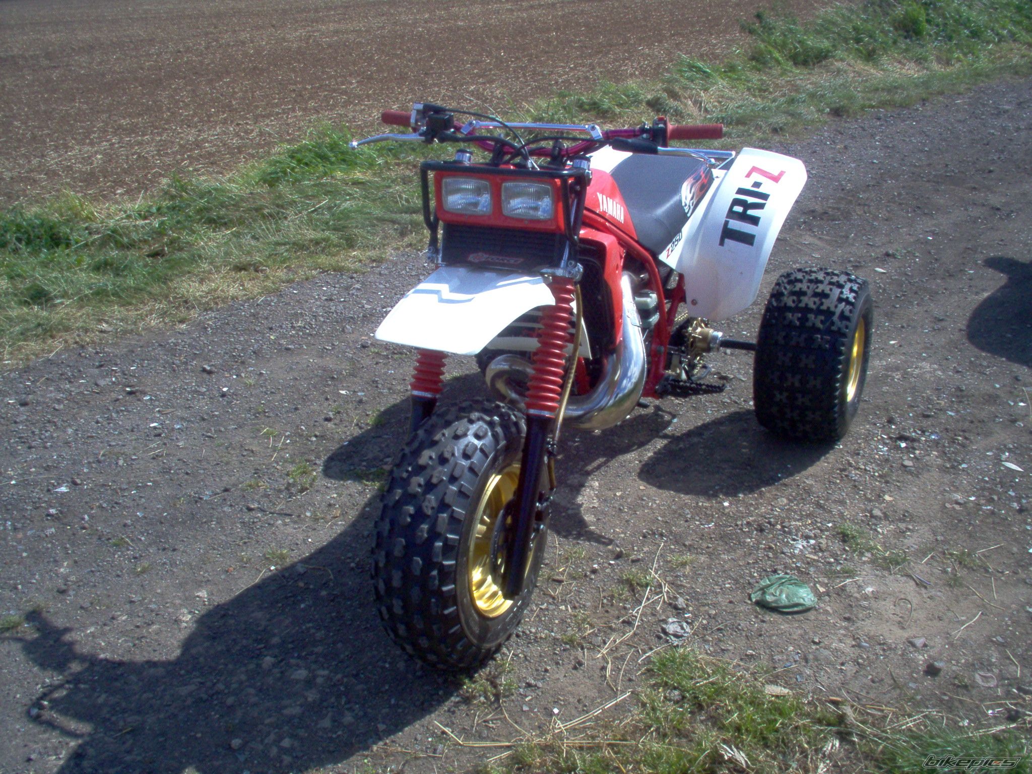 1986 YAMAHA YTZ 250 | Picture 1798940 motorcycle photo