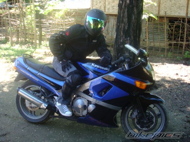 2007 HONDA CB 400 | Picture 1798977 motorcycle photo