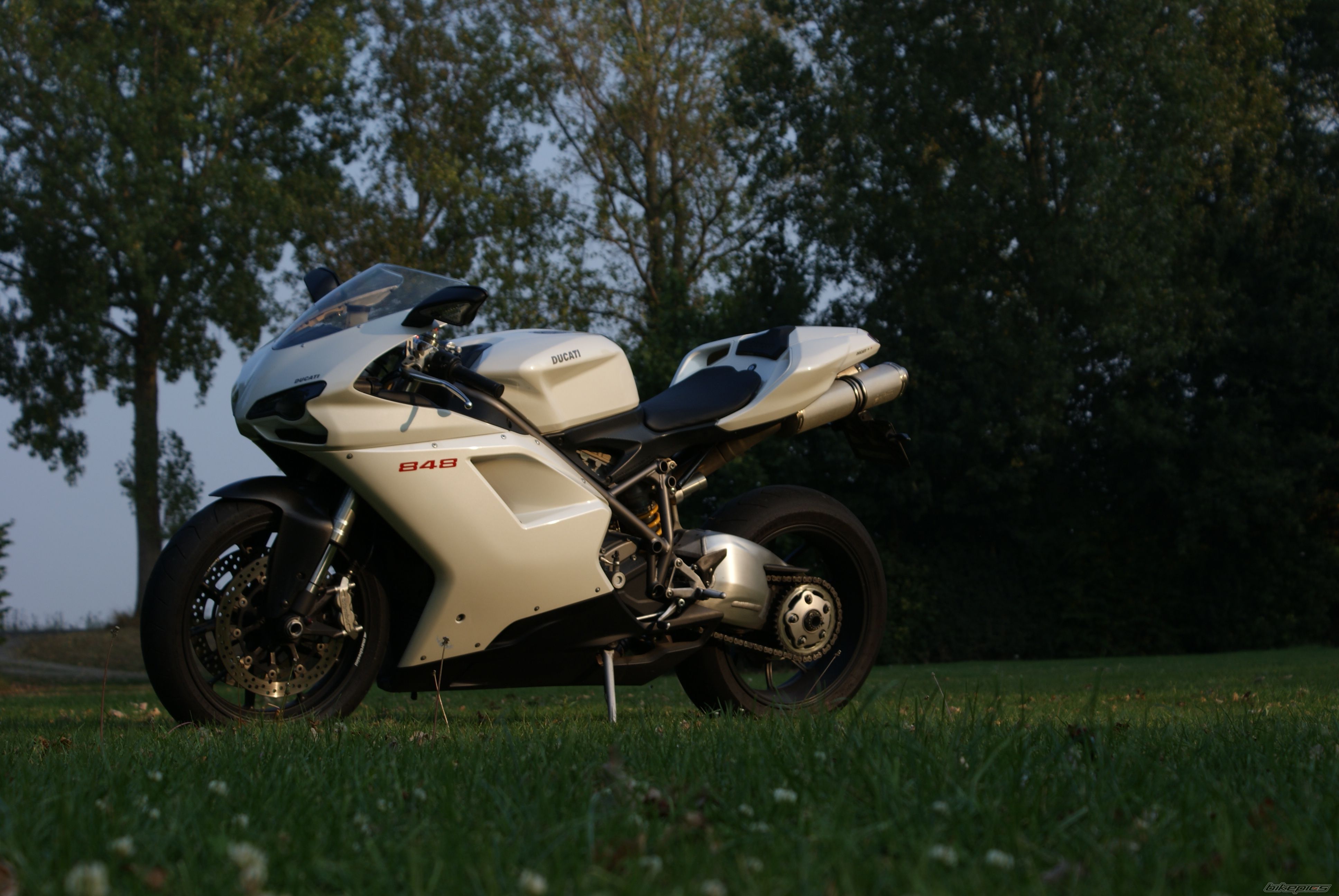 2008 DUCATI 848 | Picture 1799071 motorcycle photo