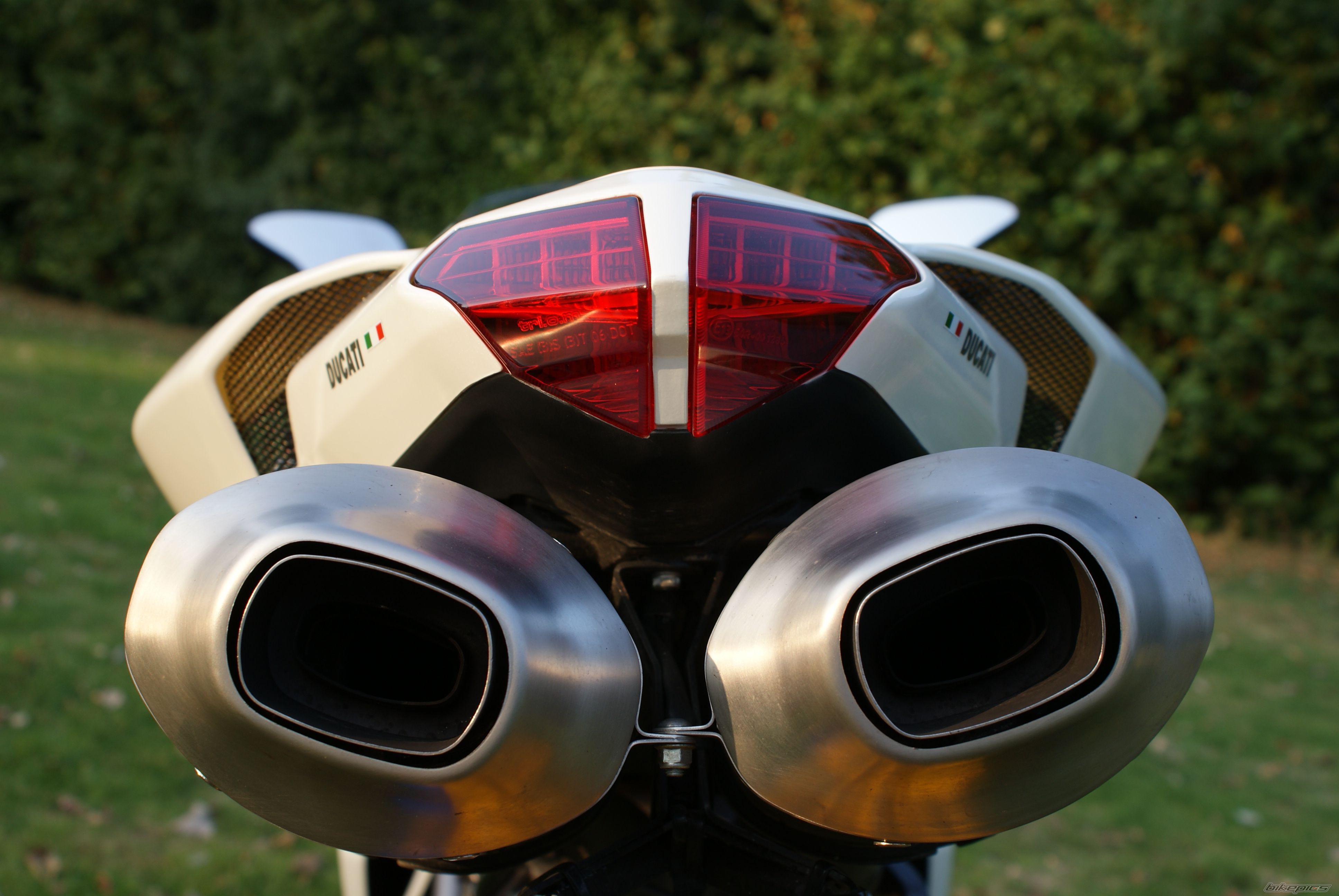 2008 DUCATI 848 | Picture 1799076 motorcycle photo
