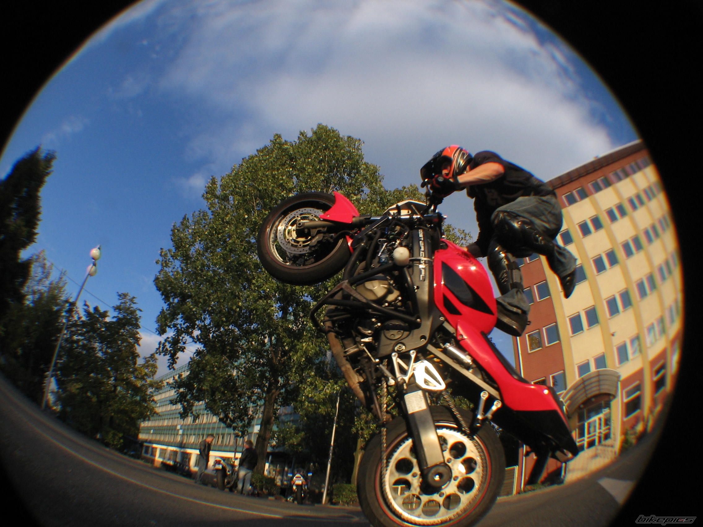 2001 HONDA CBR 600 FS | Picture 1799270 motorcycle photo