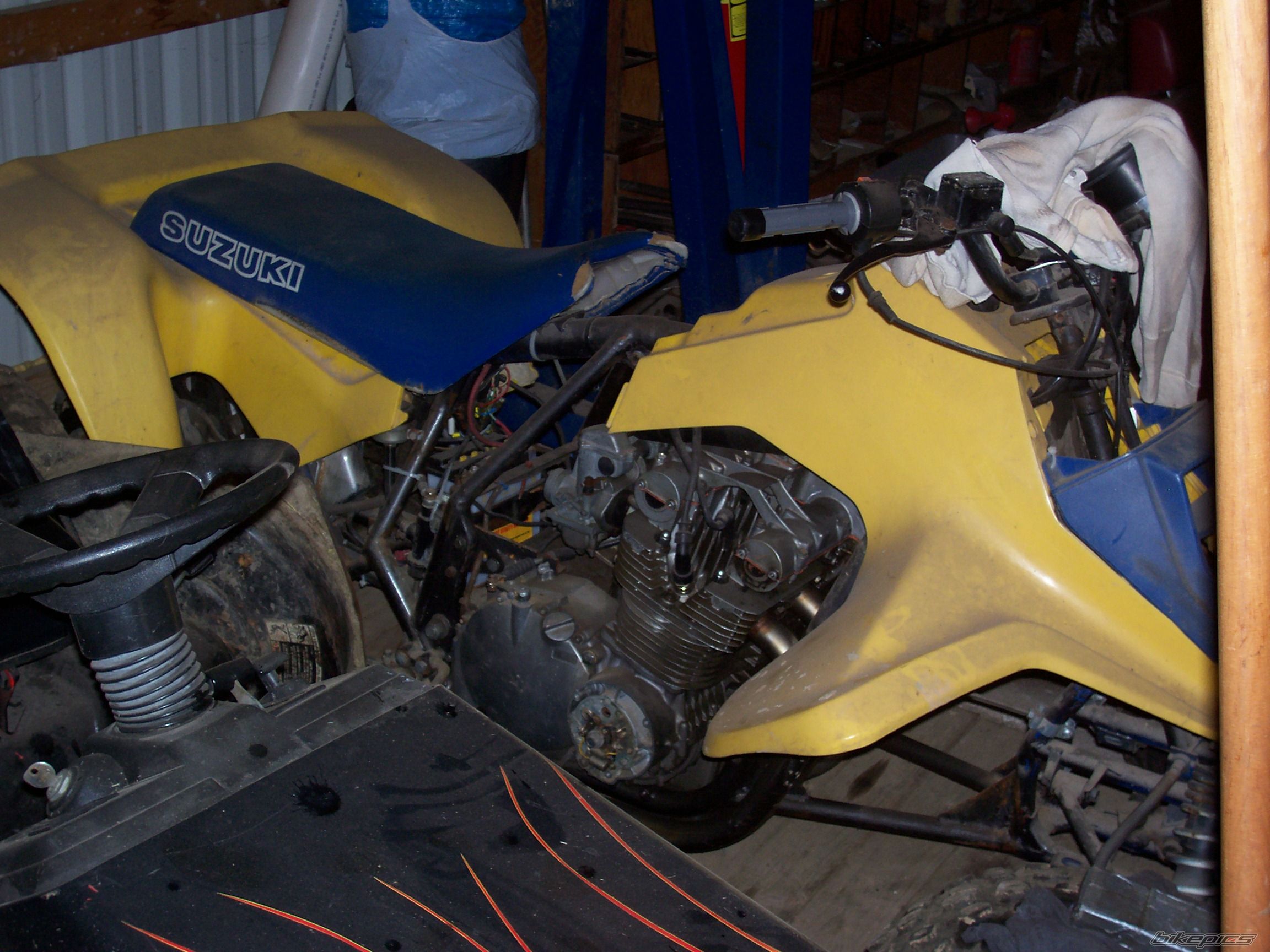 1998 KAWASAKI KX 250 | Picture 1799333 motorcycle photo