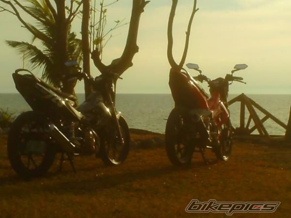 2010 SUZUKI RAIDER 150 | Picture 1799465 motorcycle photo
