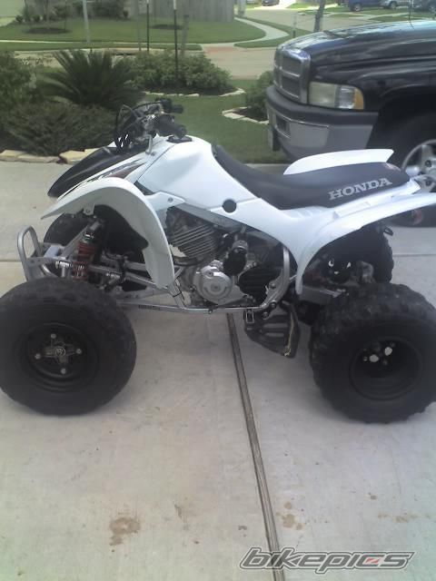 2008 HONDA 300EX | Picture 1799734 motorcycle photo