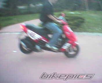 2004 MALAGUTI PHANTOM 50 F12 | Picture 180003 motorcycle photo