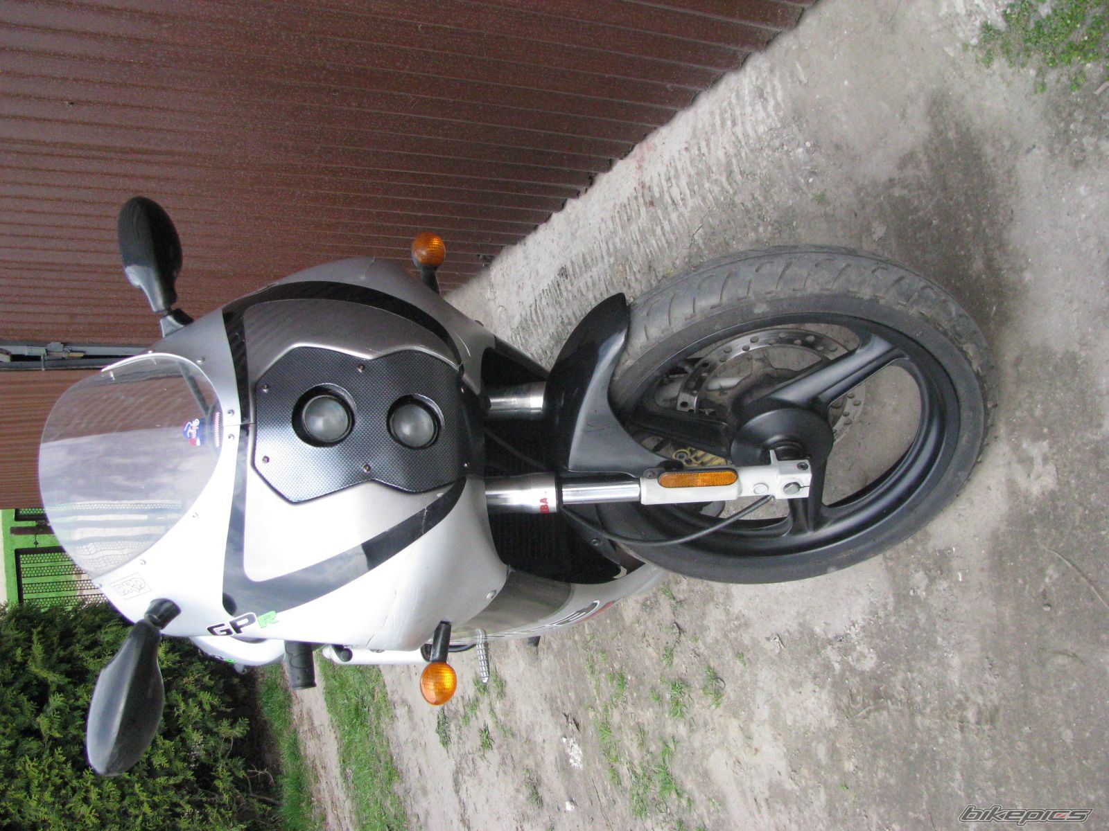 2005 DERBI GPR 50 REPLICA | Picture 1800531 motorcycle photo
