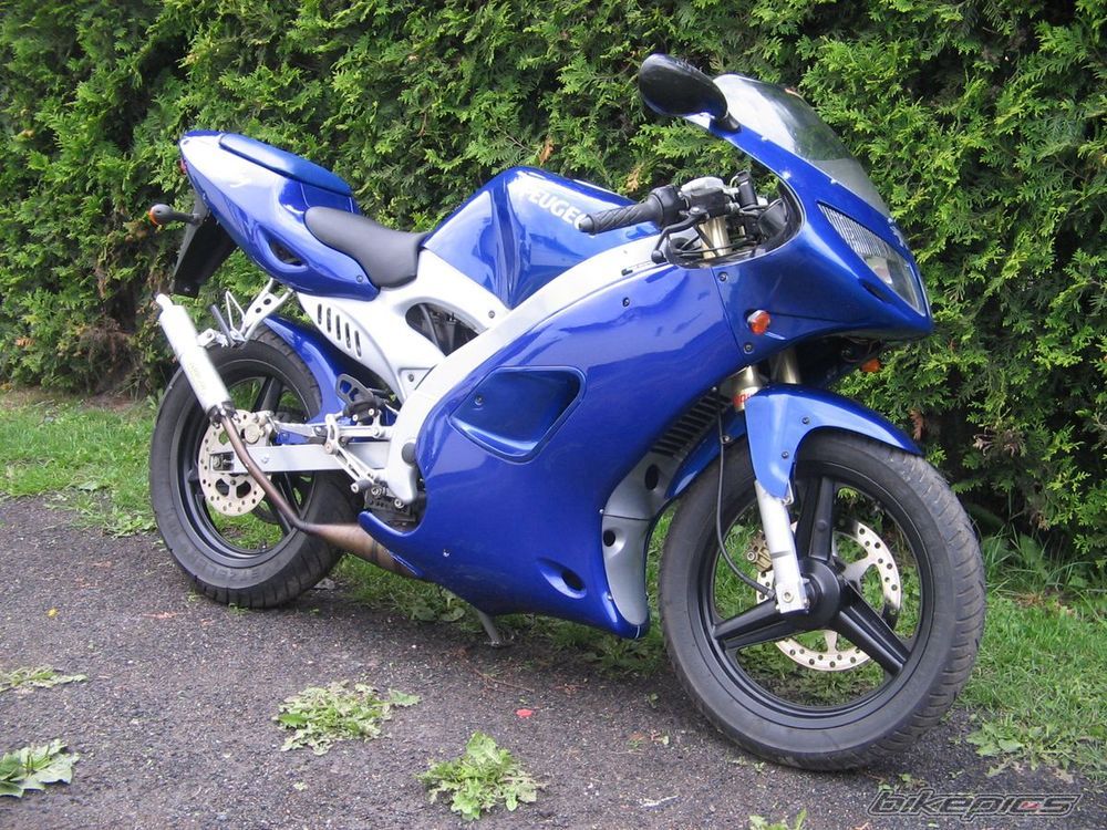 2002 PEUGEOT XR6 | Picture 1800700 motorcycle photo