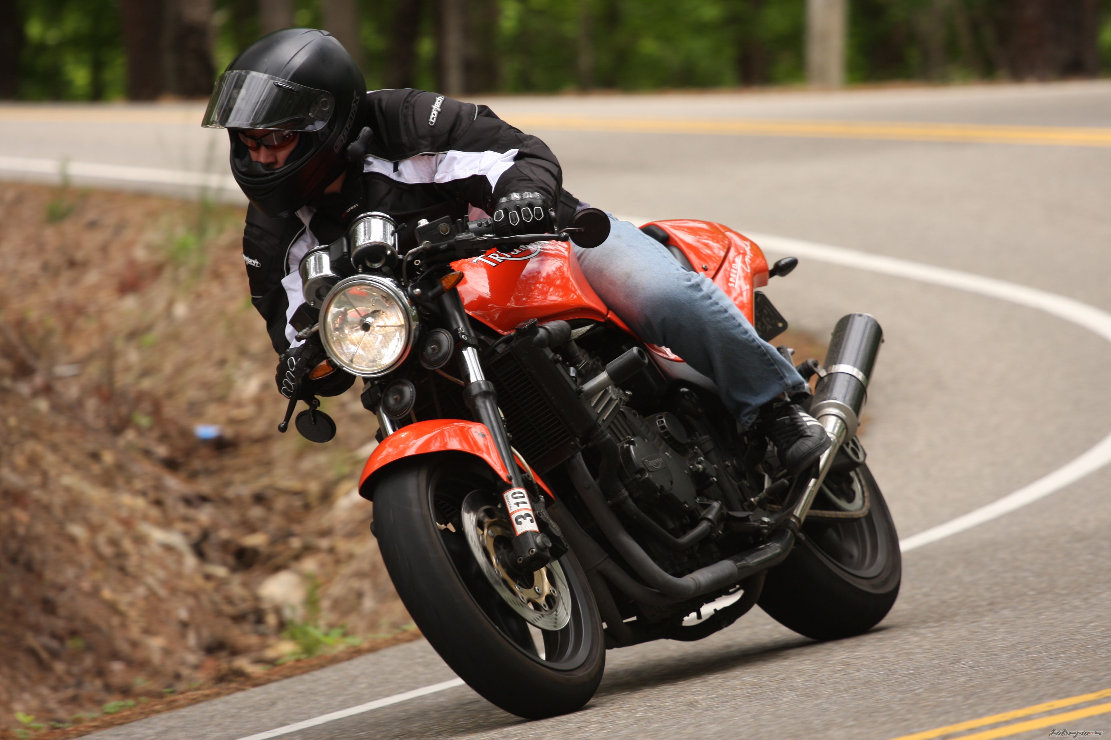 1995 TRIUMPH SPEED TRIPLE | Picture 1800728 motorcycle photo