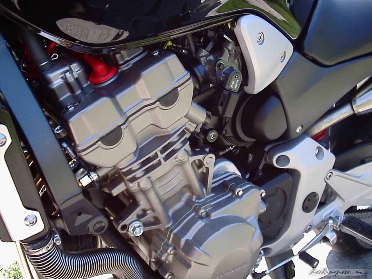 2004 HONDA CB 900 | Picture 180140 motorcycle photo