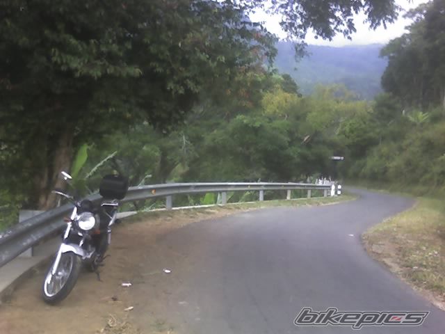 2004 SUZUKI GS 250 | Picture 1802744 motorcycle photo