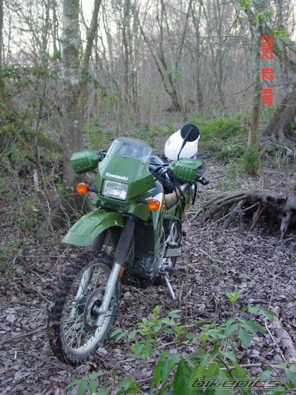 2002 KAWASAKI KLR 650 | Picture 18030 motorcycle photo