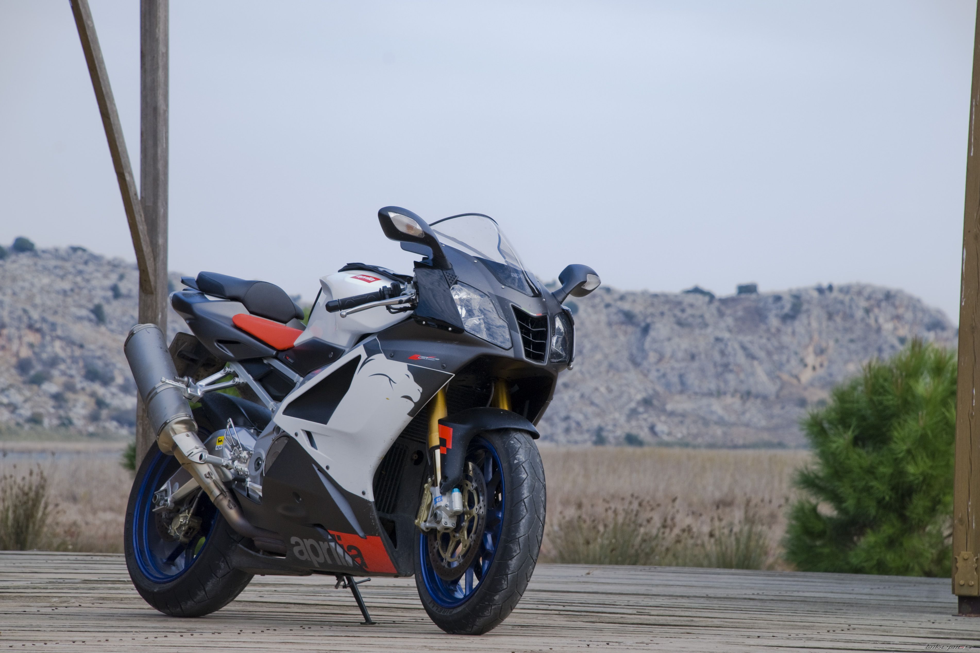 2006 APRILIA RSV 1000R MILLE | Picture 1803230 motorcycle photo